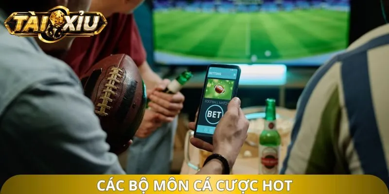 Các bộ môn cá cược hot