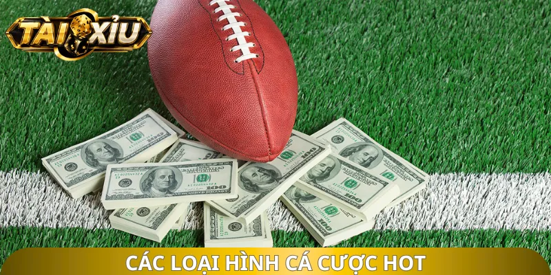 Các loại hình cá cược hot
