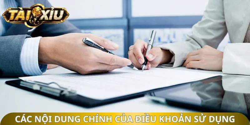 Các nội dung chính của điều khoản sử dụng