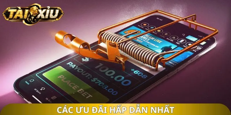 Các ưu đãi hấp dẫn nhất