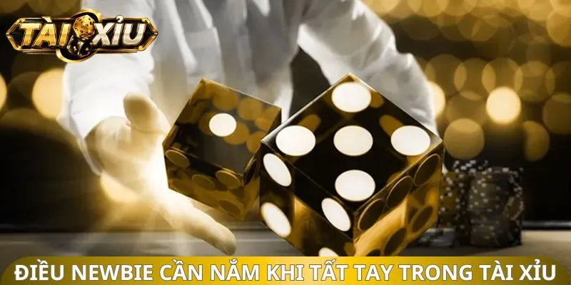 Điều newbie cần nắm khi tất tay trong tài xỉu