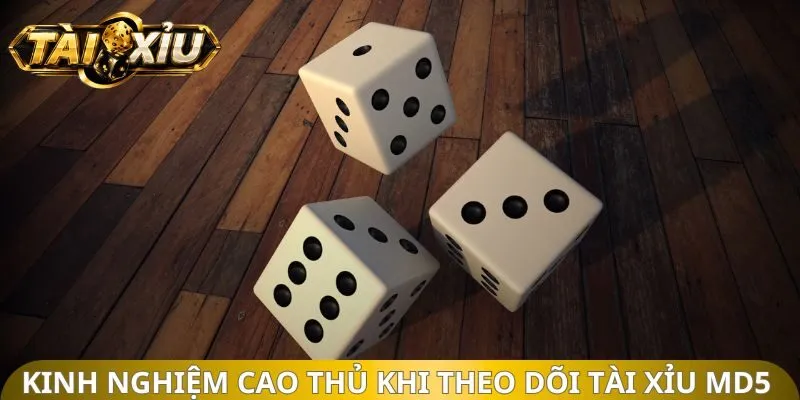 Kinh nghiệm cao thủ khi theo dõi Tài Xỉu MD5