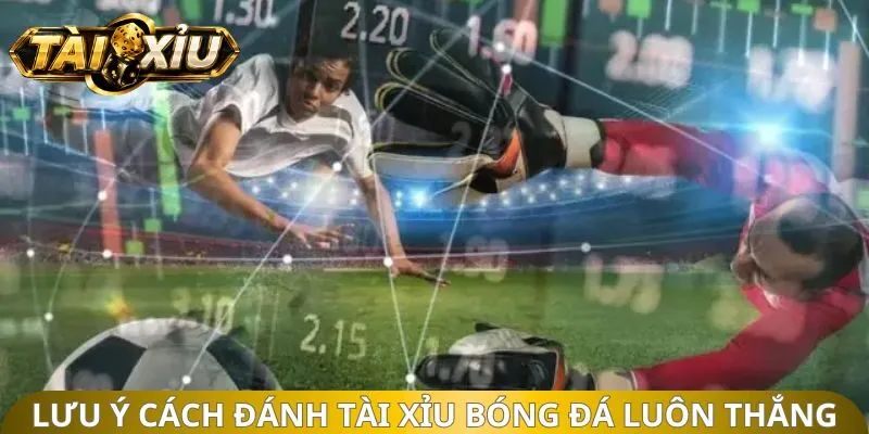 Lưu ý cách đánh tài xỉu bóng đá luôn thắng
