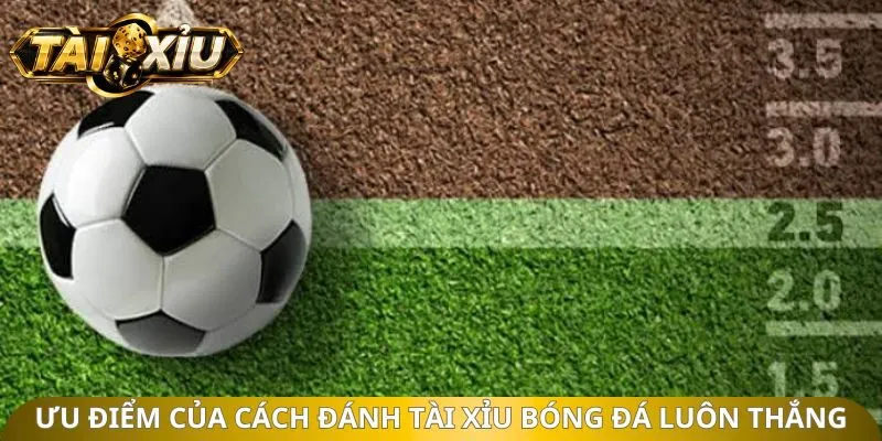 Ưu điểm của cách đánh tài xỉu bóng đá luôn thắng